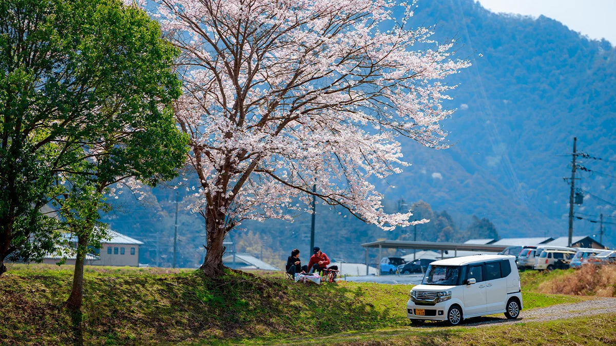 Jak wygląda wiosna dla właścicieli aut w Japonii? Hanami, azjatycki pył i więcej ciekawostek!